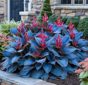 Хоста Грин Фог купить по цене от 669р. в интернет-магазине «Посадика» с доставкой почтой в в Большой Каменье и по всей России – [изображение №1].