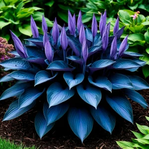 Хоста Сикрет Гров купить по цене от 570р. в интернет-магазине «Посадика» с доставкой почтой в в Большой Каменье и по всей России – [изображение №1].