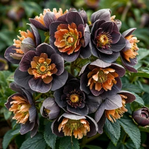 Морозник Блум Айс купить по цене от 499р. в интернет-магазине «Посадика» с доставкой почтой в в Большой Каменье и по всей России – [изображение №1].