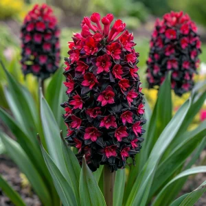 Гиацинт Джем Стоун купить по цене от 2099р. в интернет-магазине «Посадика» с доставкой почтой в в Большой Каменье и по всей России – [изображение №1].