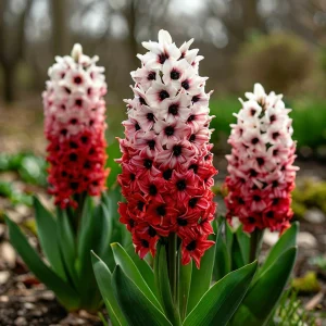 Гиацинт Скай Гарден купить по цене от 2099р. в интернет-магазине «Посадика» с доставкой почтой в в Большой Каменье и по всей России – [изображение №1].